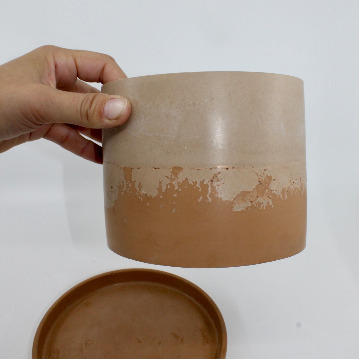 Ivys Planter