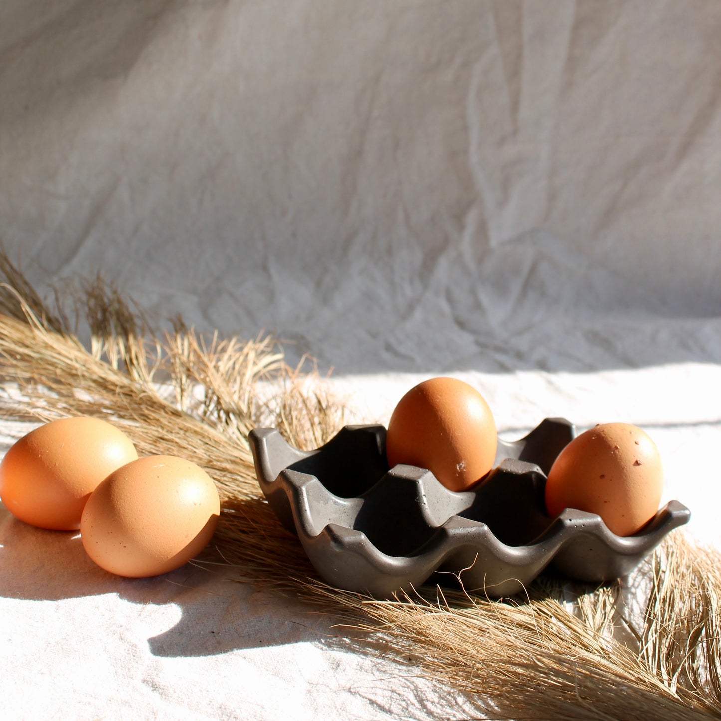 Egg Carton