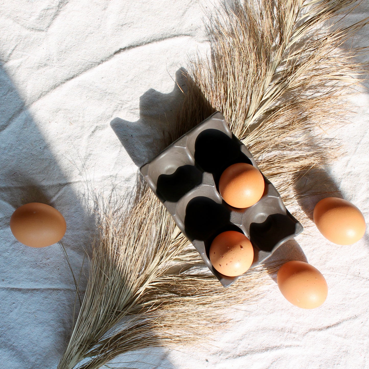 Egg Carton